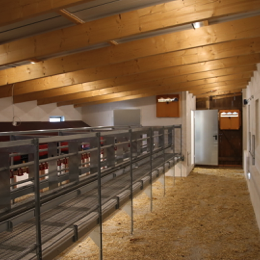 20220817093446_IMG_5639