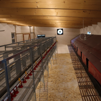 20220817093645_IMG_5646