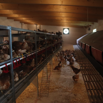 20220817110946_IMG_5659