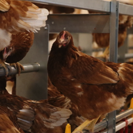 20220817111047_IMG_5662