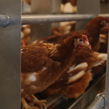 20220817111153_IMG_5663