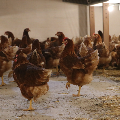 20220817111226_IMG_5665