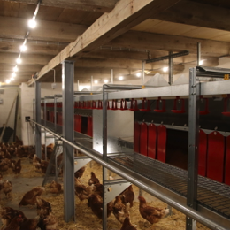 20231019092655_IMG_6882