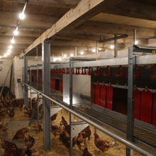 20231019092655_IMG_6882