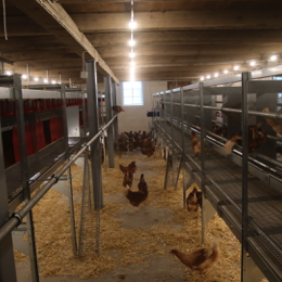 20231019092859_IMG_6892