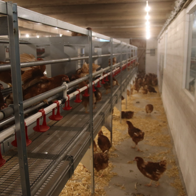 20231019093024_IMG_6898