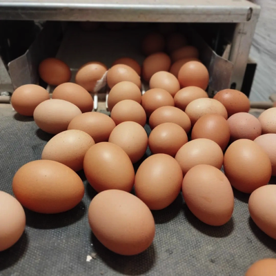 b244a800-6adc-494c-9b2c-cc74939c40f0