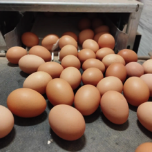 b244a800-6adc-494c-9b2c-cc74939c40f0