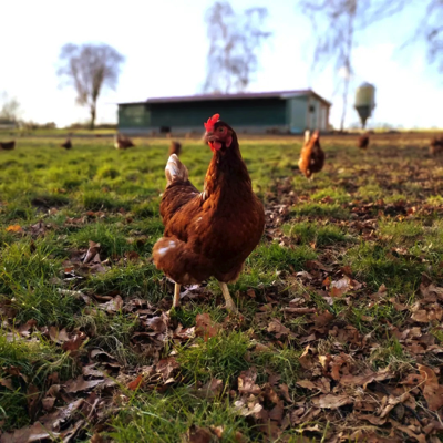 e80d463d-43e1-46b8-ba34-1b4da7a346d1