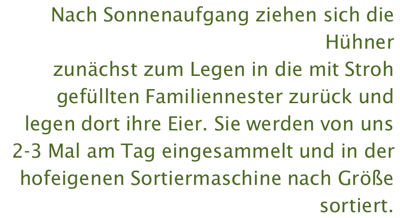 Nach Sonnenaufgang ziehen sich die Hühner zunächst zum Legen in die mit Stroh gefüllten Familiennester zurück und legen dort ihre Eier. Sie werden von uns 2-3 Mal am Tag eingesammelt und in der hofeigenen Sortiermaschine nach Größe sortiert.